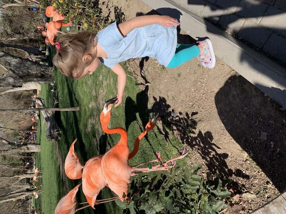 Photograph by Маргарита Папченко