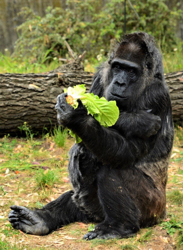 Photograph by Dagmara Giller