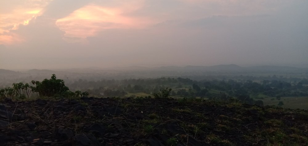 Photo #4100352