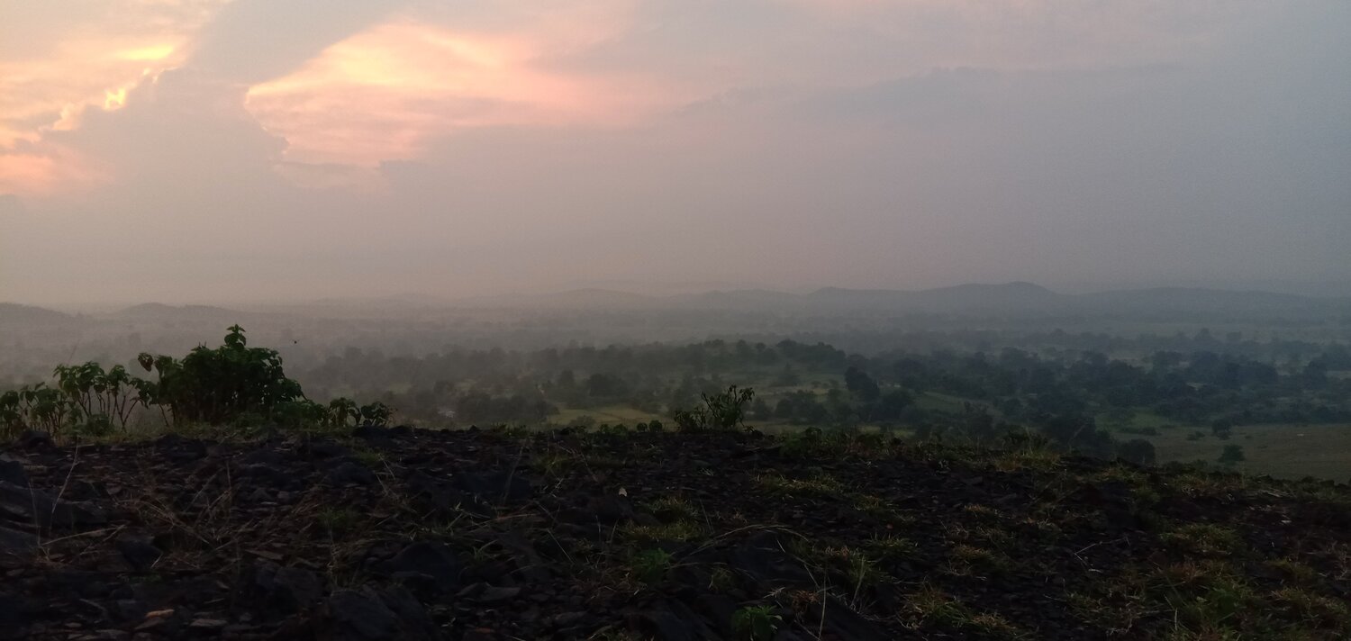 Photo #4100352