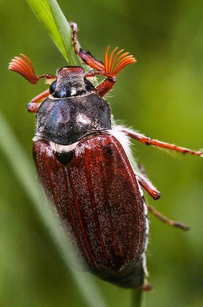 Photograph by Serhij Kharchenko