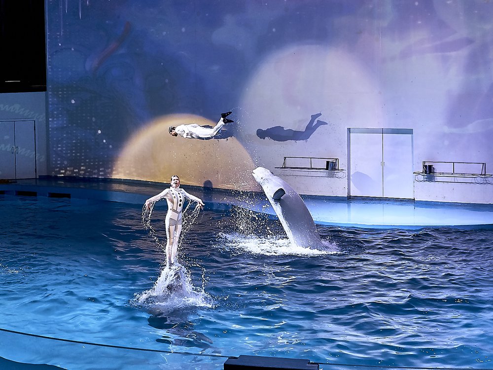 Photograph by Елена Мормоль