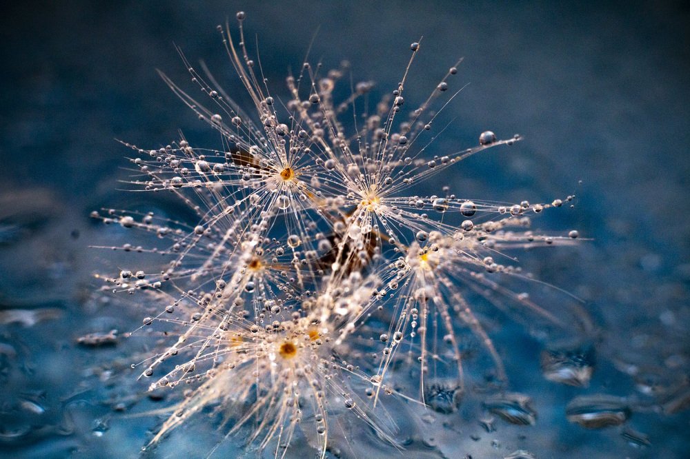 Photograph by Андрей Кульков