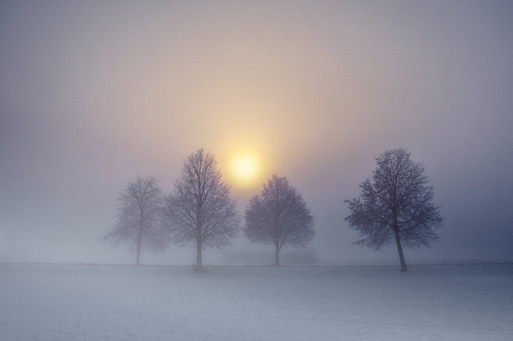 Photograph by  Zanfoar