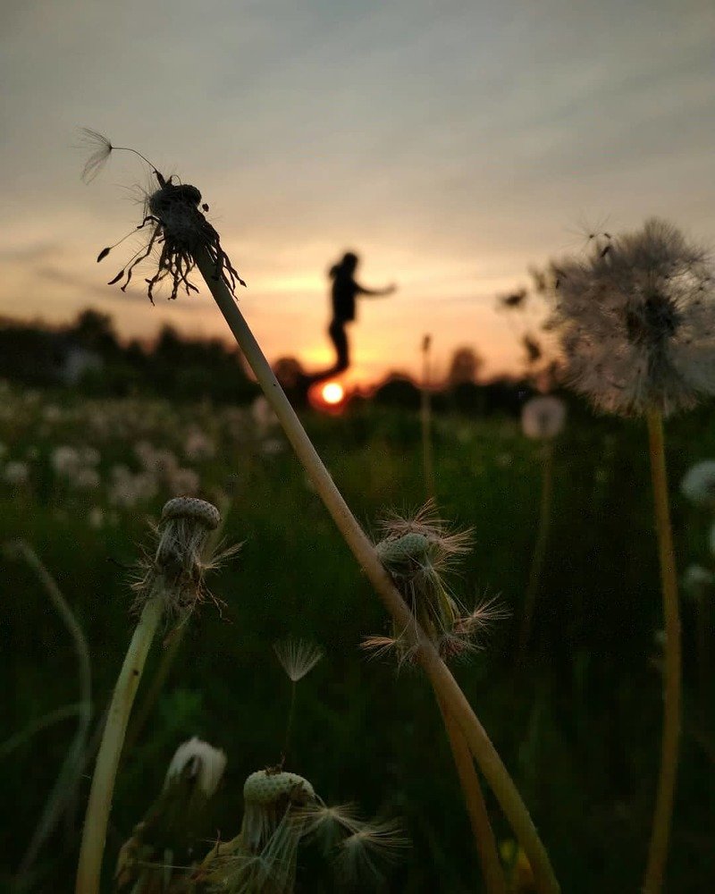 Photograph by Ростислав Скидченко