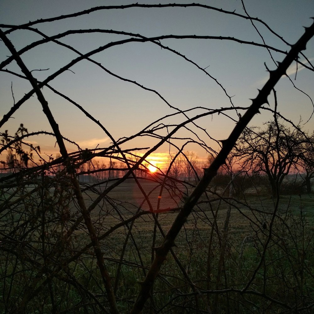 Photograph by Ростислав Скидченко