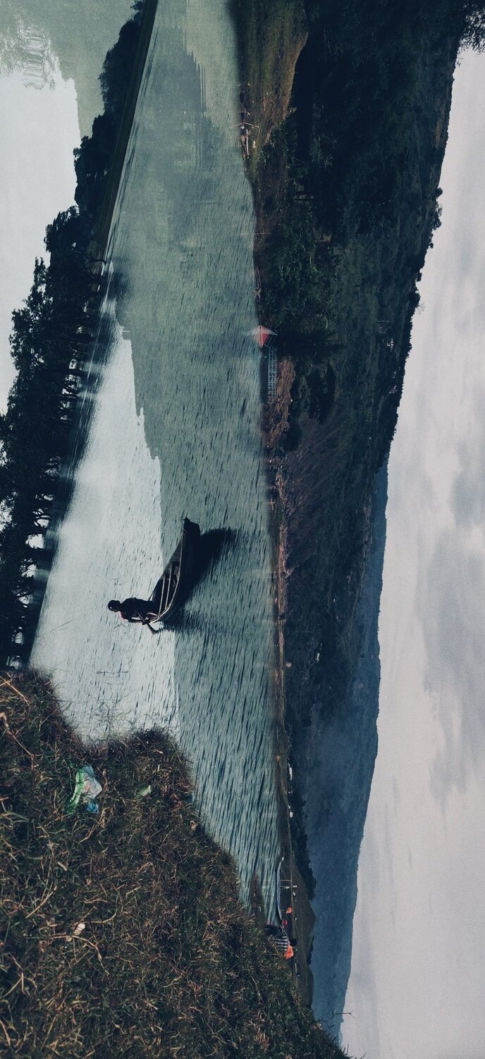 Photo #4100748