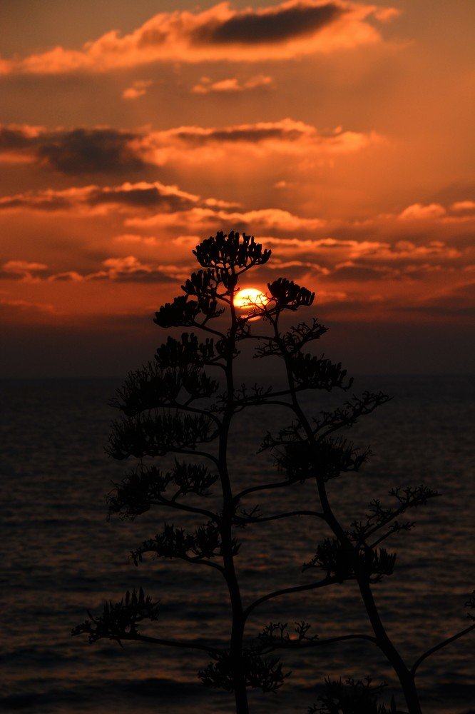 Photograph by Dagmara Giller