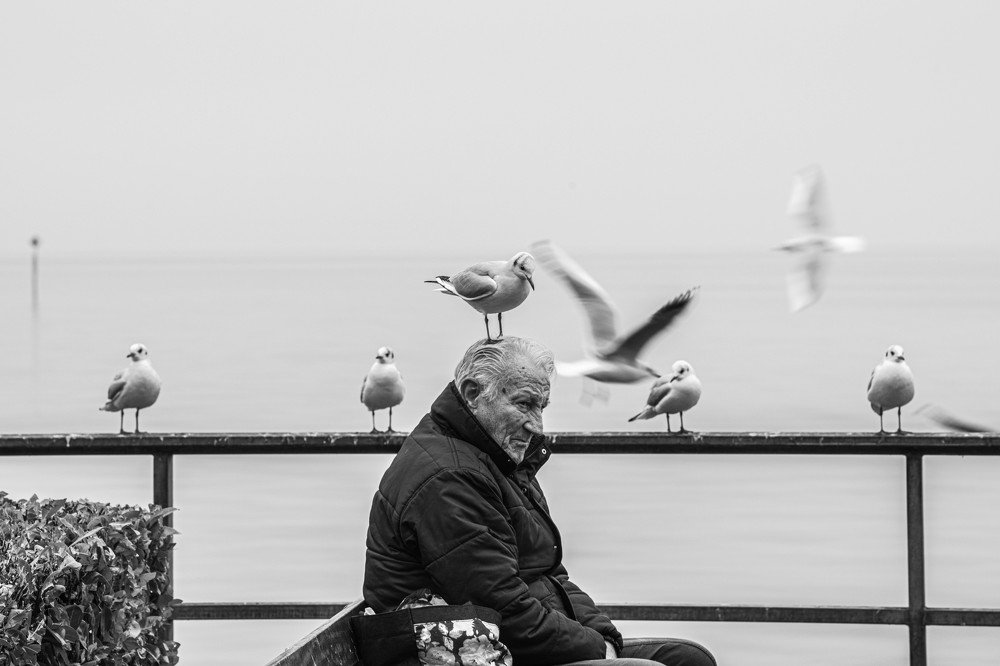 Photograph by Schewzow Lana