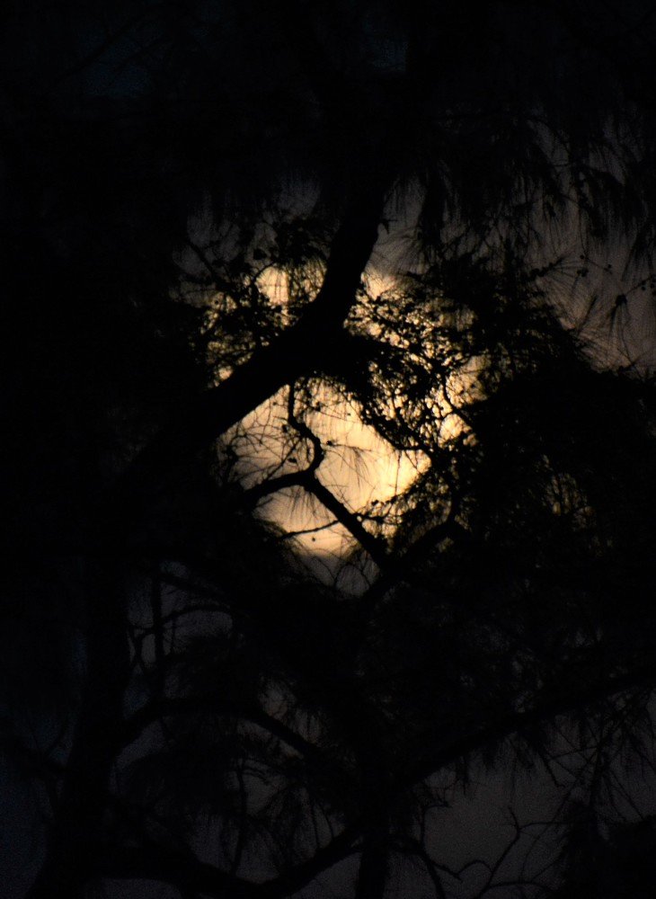 Photograph by Dagmara Giller