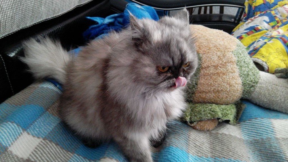 Photograph by Елена Хейликова