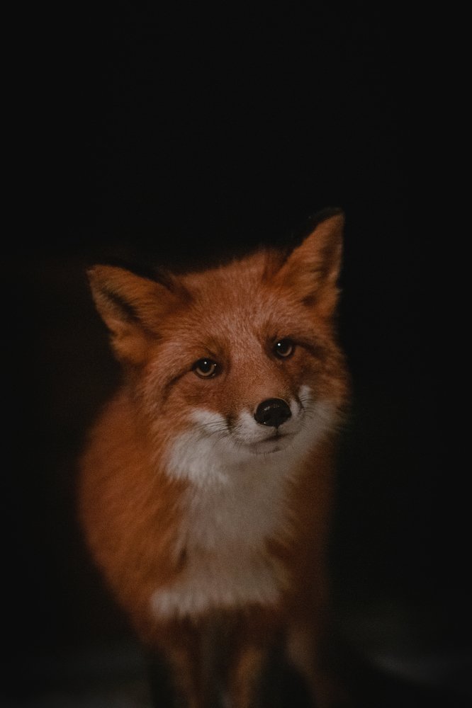 Photograph by Валентин Спичак