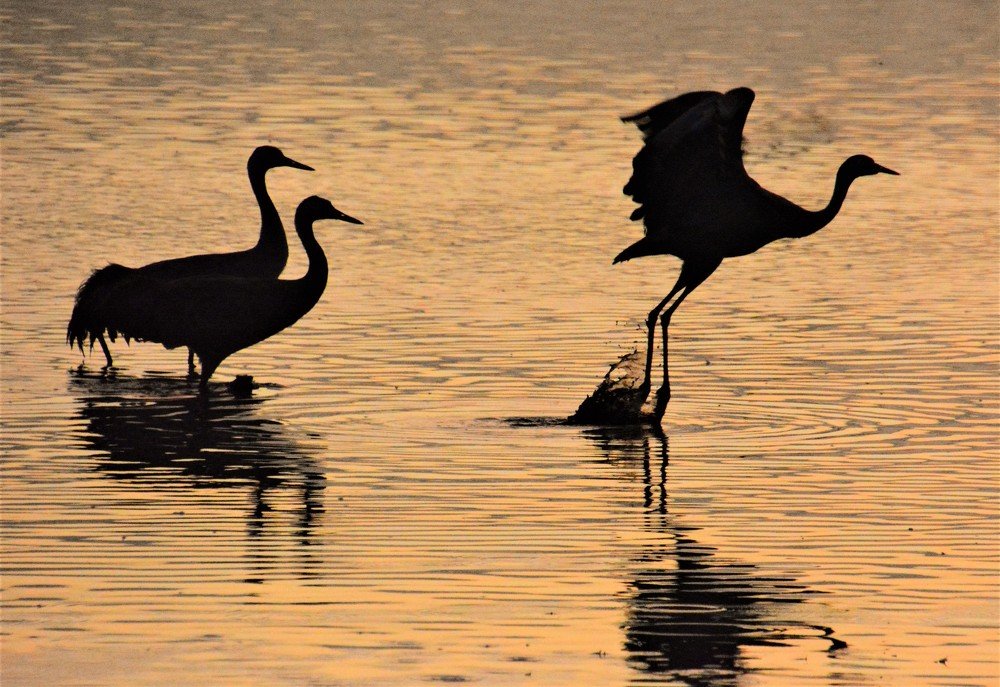 Photograph by Dagmara Giller