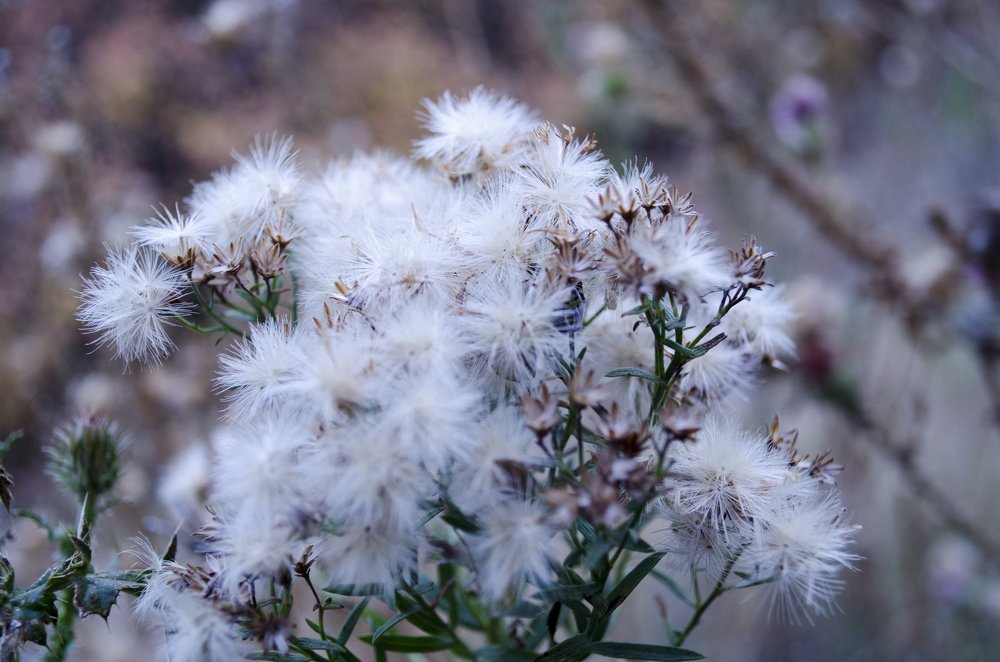 Photograph by Дмитрий