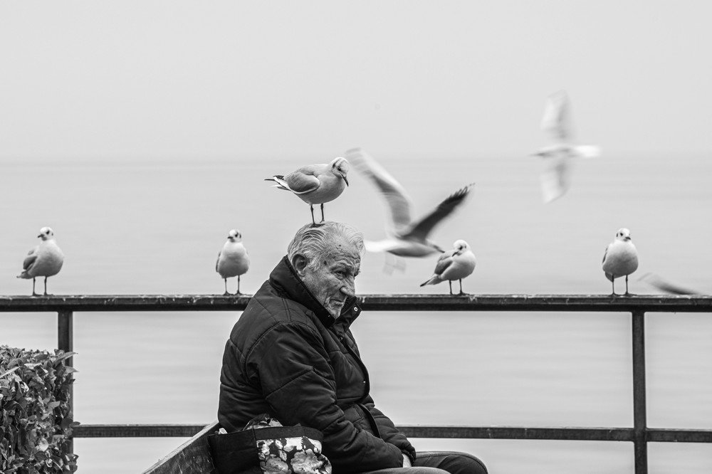 Photograph by Schewzow Lana