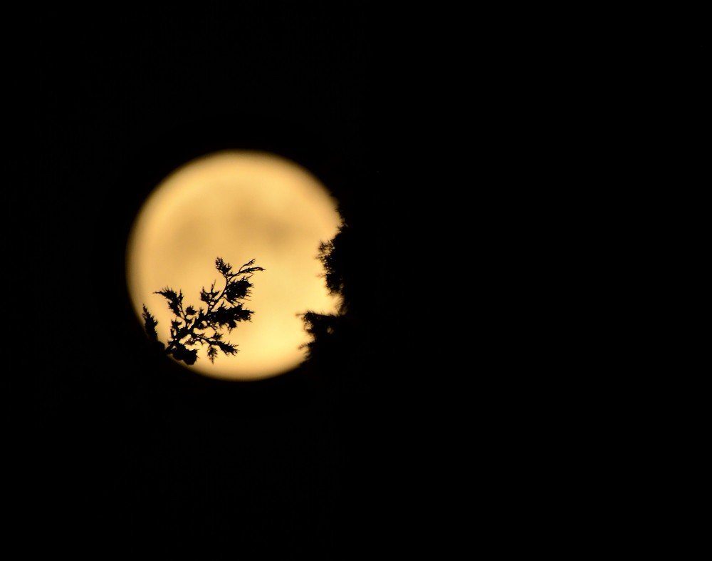 Photograph by Dagmara Giller