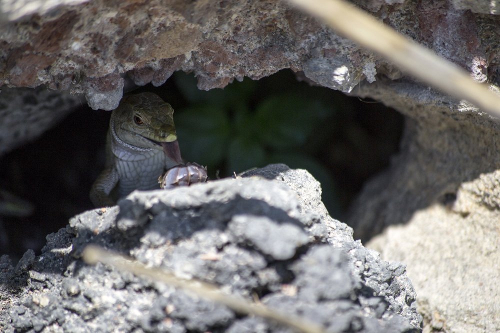 Photograph by Nora Cheprasova
