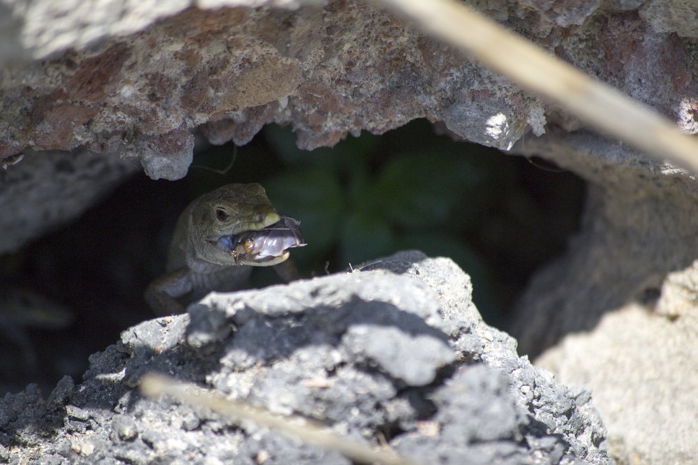 Photograph by Nora Cheprasova