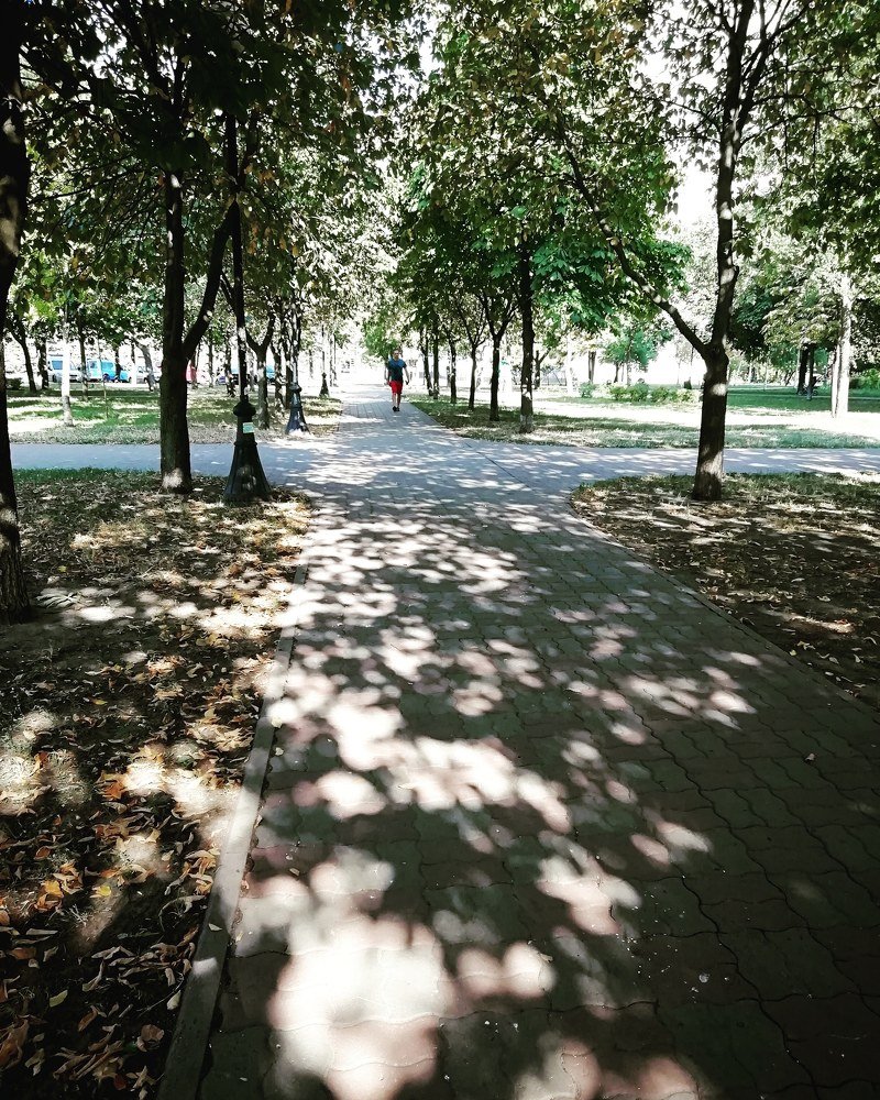Photograph by Ірина Дрок
