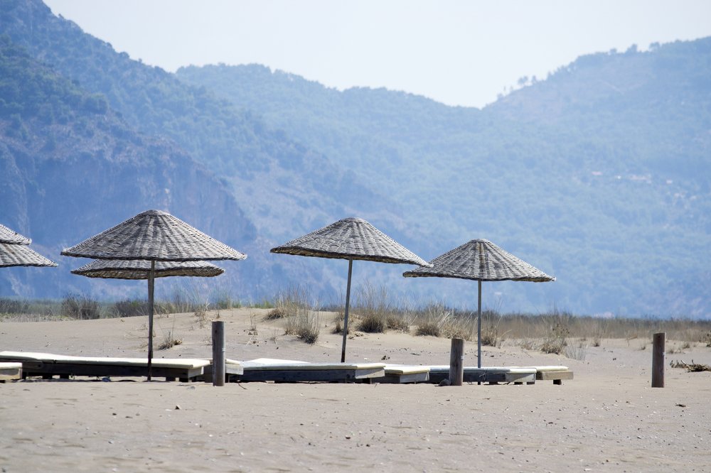 Photograph by Nora Cheprasova