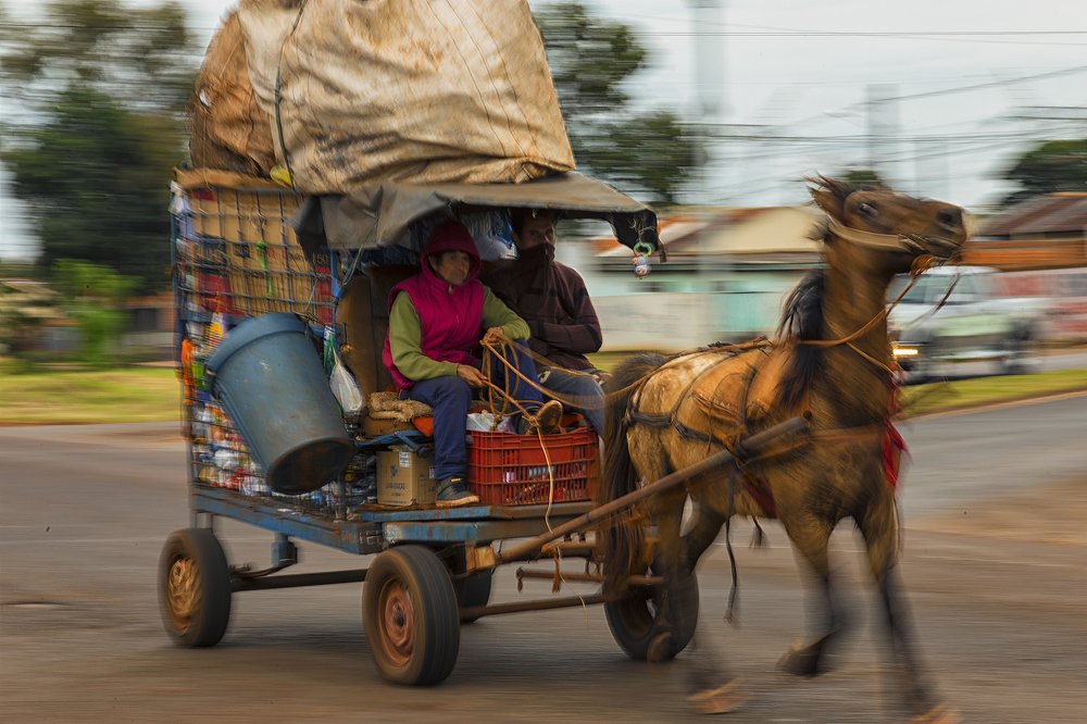 Photograph by armando rivera