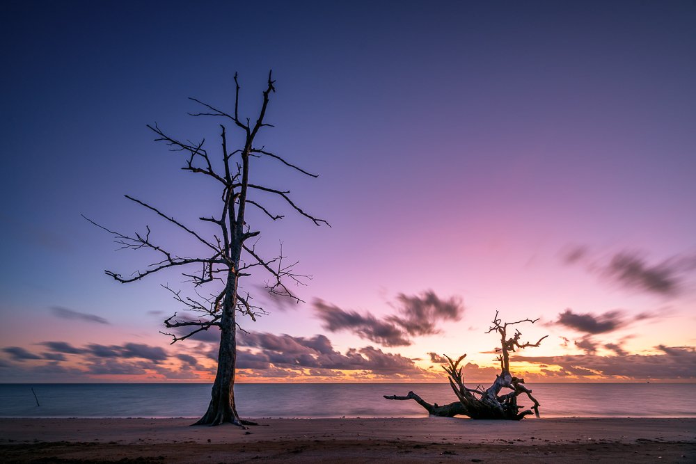 Photograph by Lopes Luis