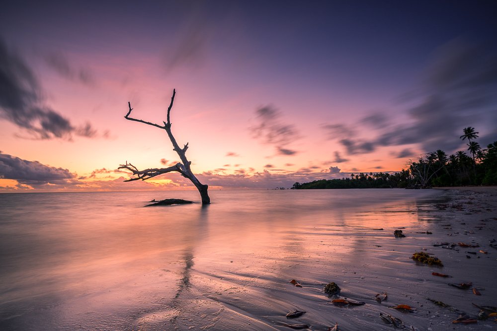 Photograph by Lopes Luis