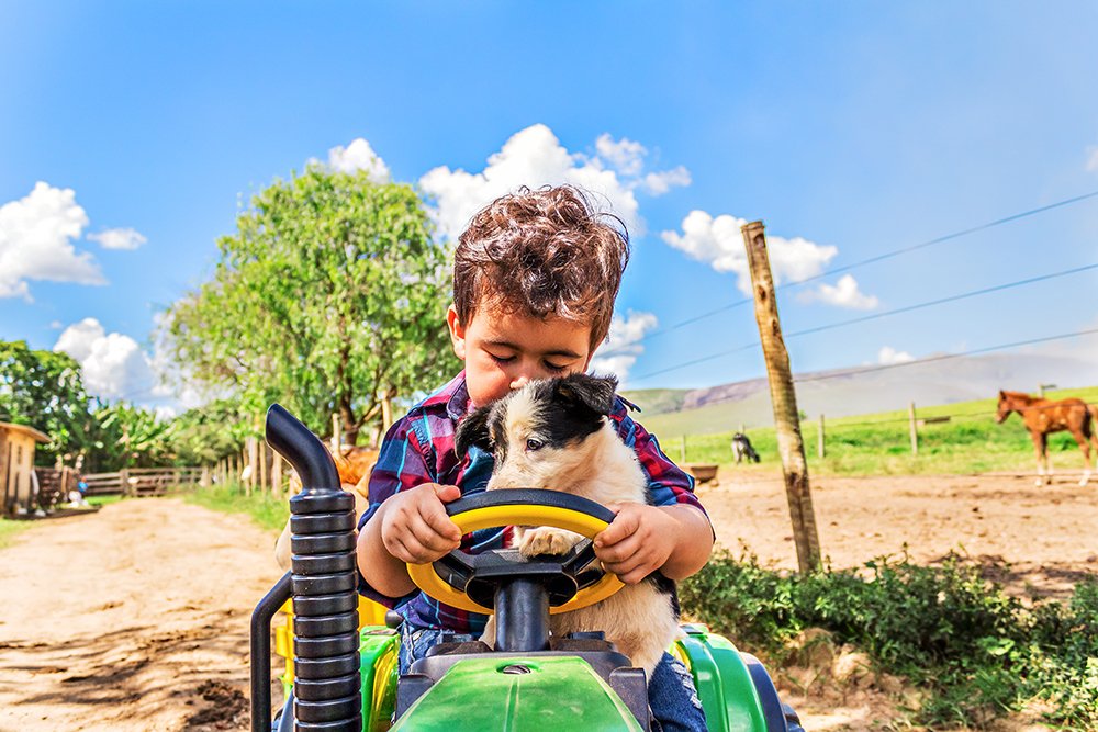 Photograph by Felipe Augusto