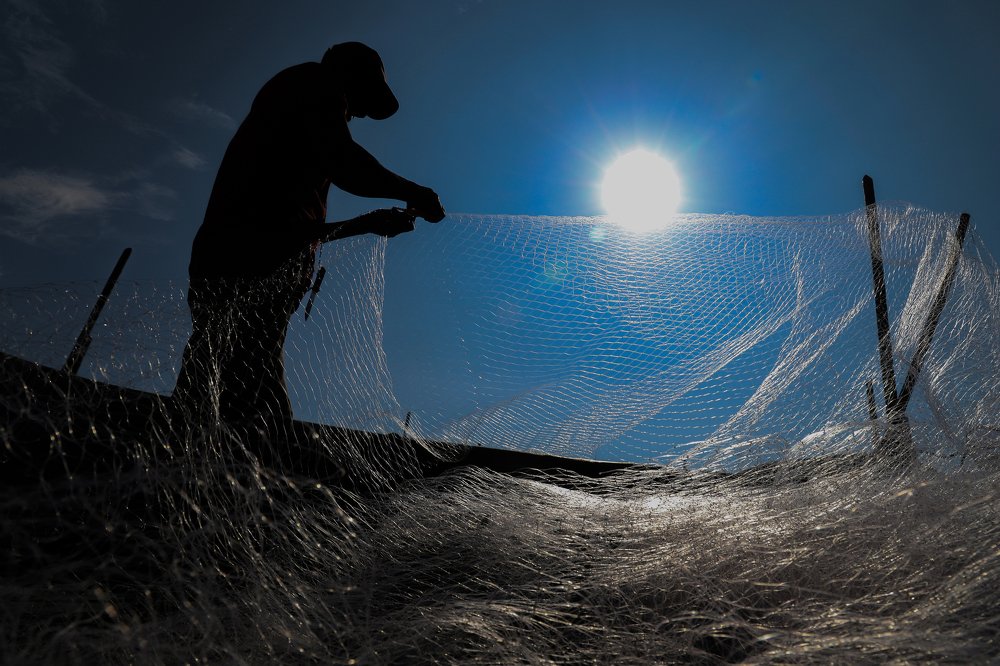 Photograph by Juan Bautista Diaz Narvaez