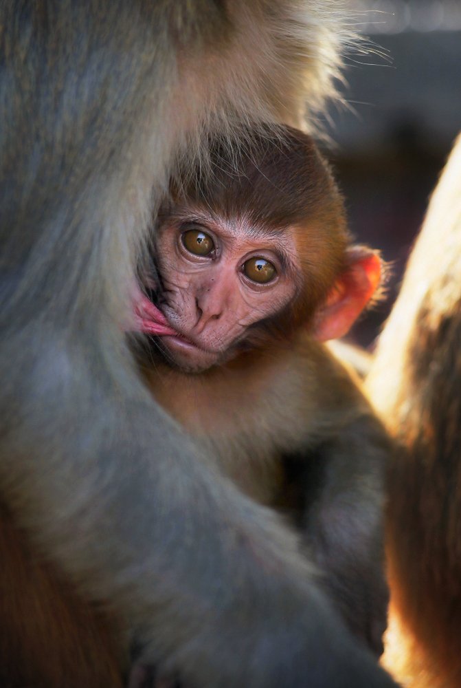 Photograph by Сергей Макурин