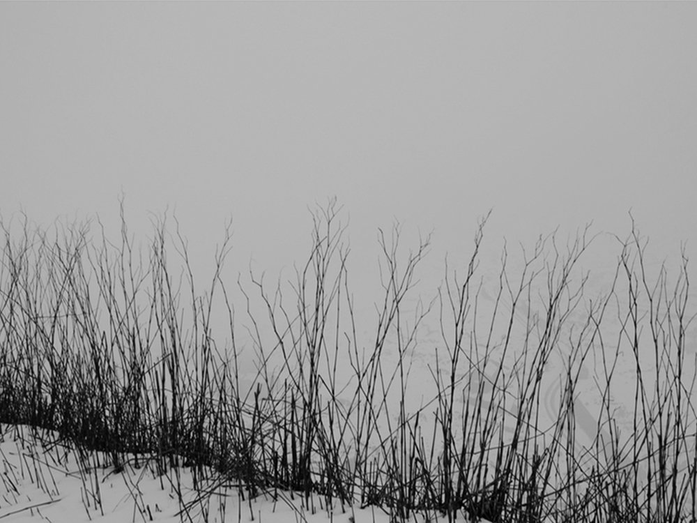 Photograph by SAMIR KUMAR SAMANTA