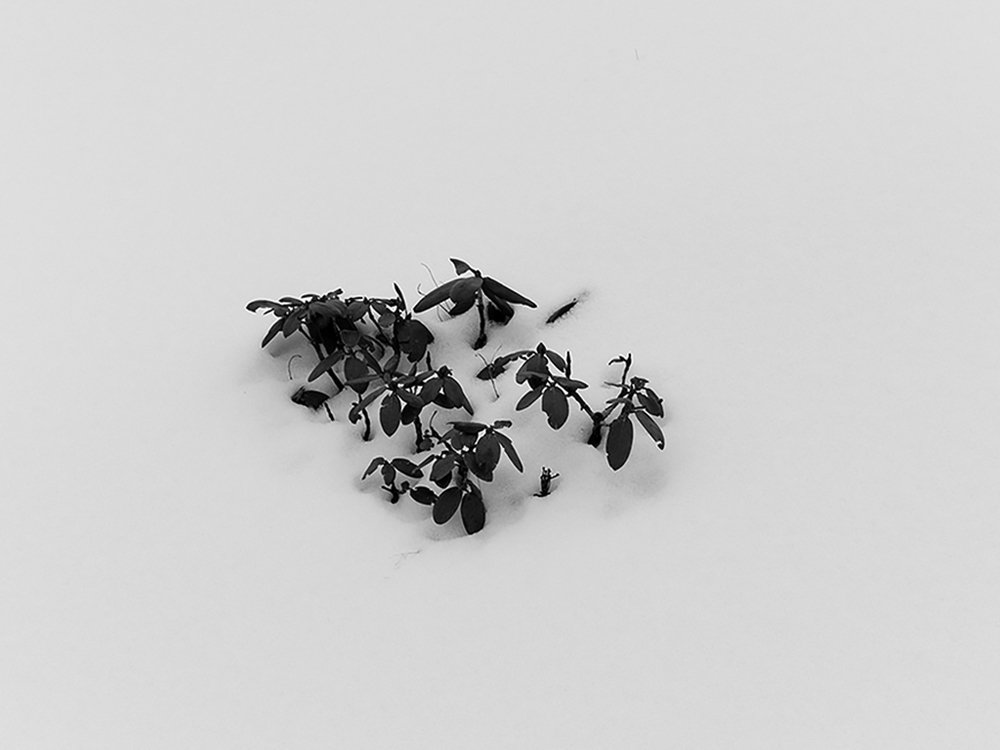 Photograph by SAMIR KUMAR SAMANTA