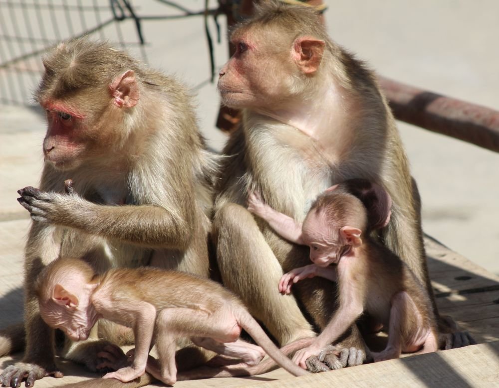 Фотография автора Vivek Tavate