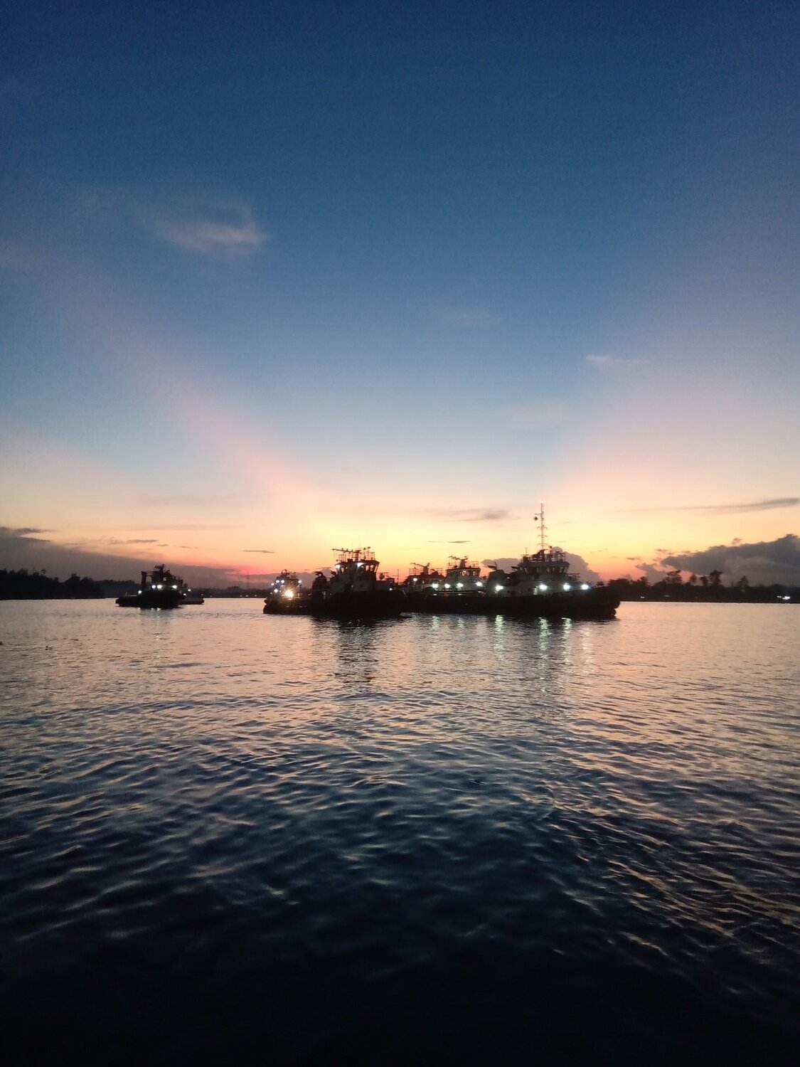 Photo #4101813