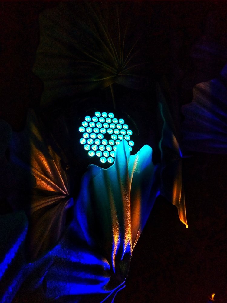 Photo #4101891