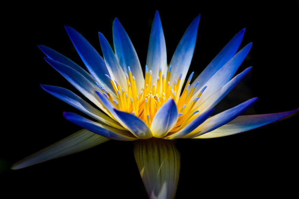 Фотография автора Nikolay Tatarchuk