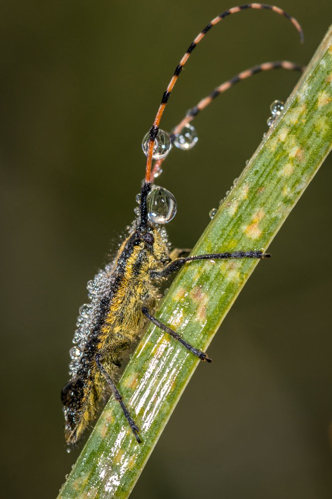Фотография автора Nikolay Tatarchuk