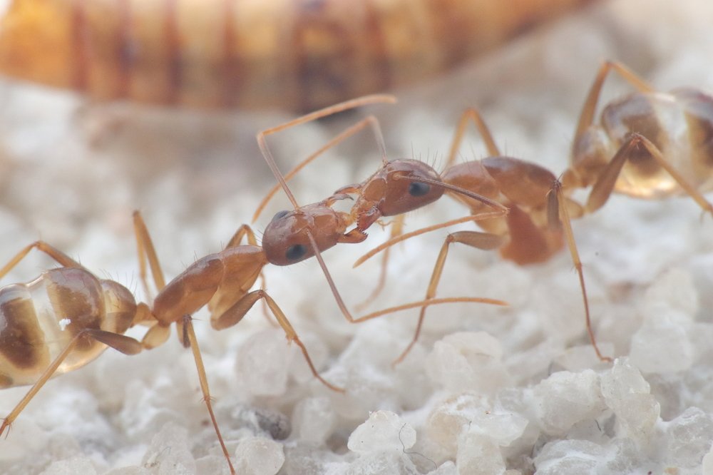 Photograph by Miona Lee