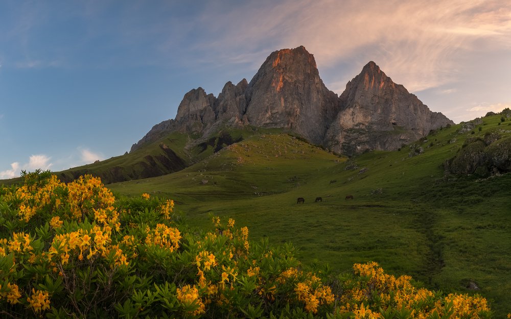Пробуждение Цей-Лоам