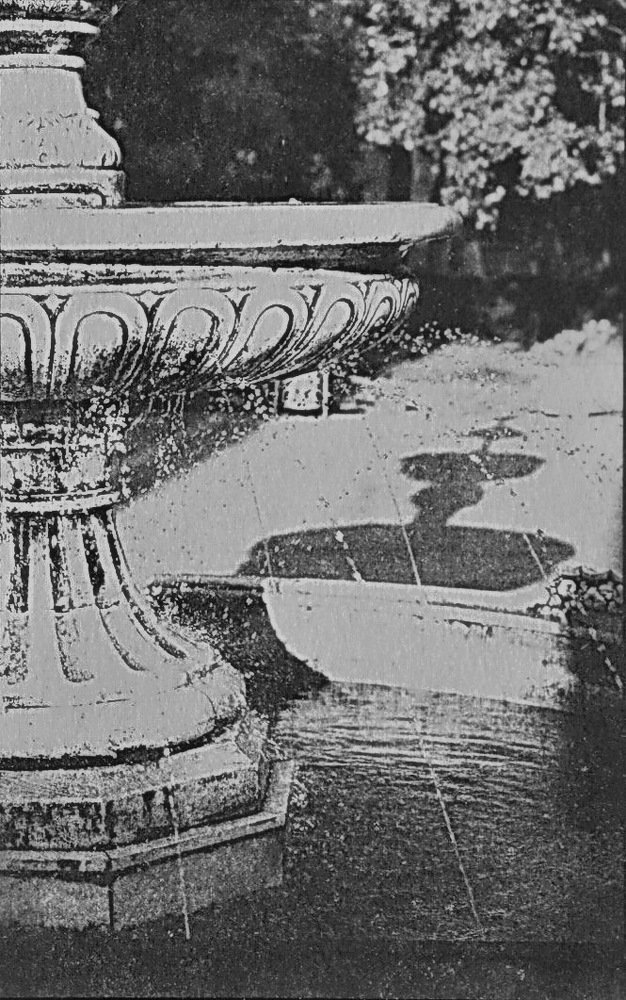 Photograph by Светлана Борозенцева