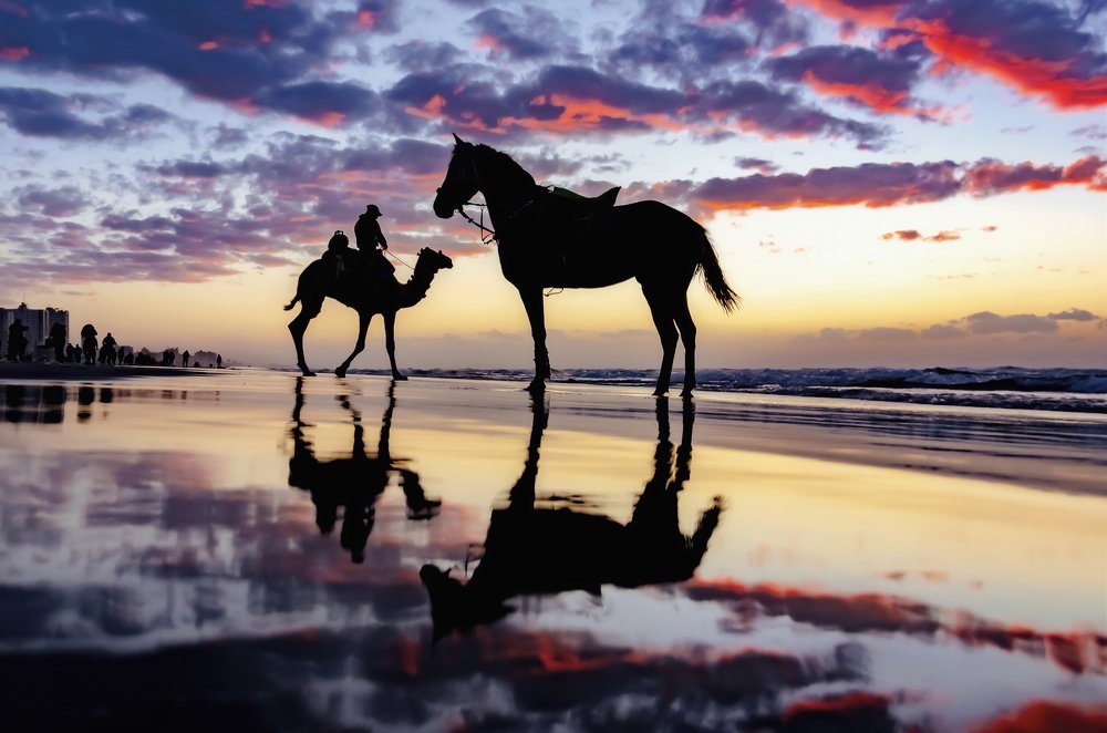 Photograph by Fathi Ibrahim