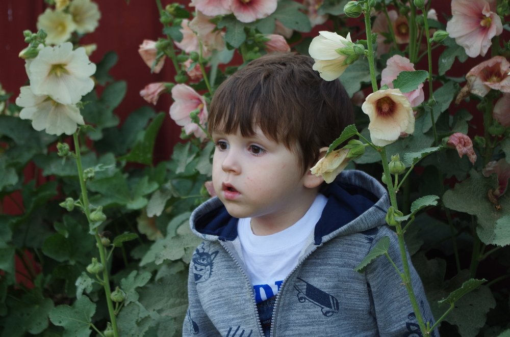 Photograph by Галина Григорьева