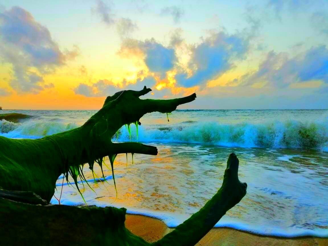 The Natural Hand is trying to stop the sunset