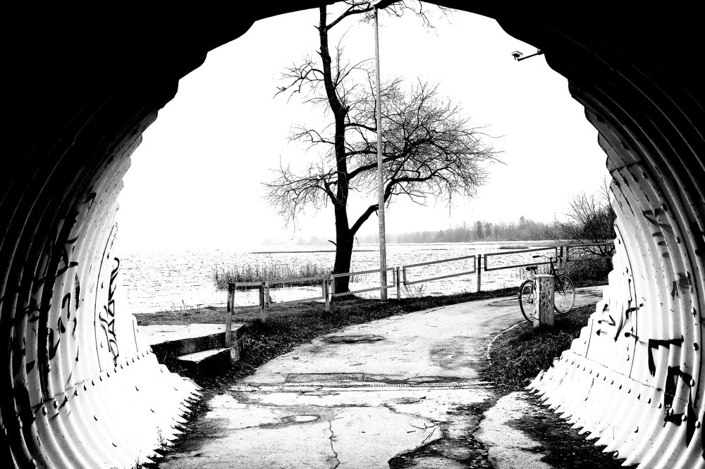 Photograph by Ilze Ose