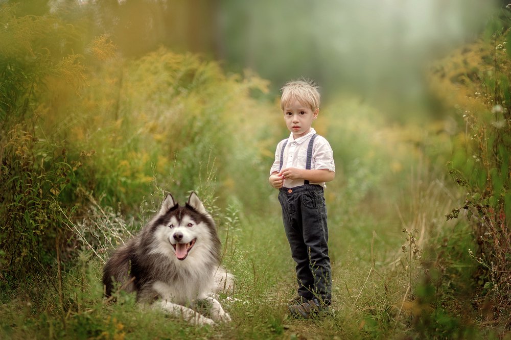 На лесной полянке