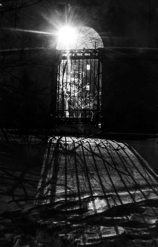 Photograph by Владимир