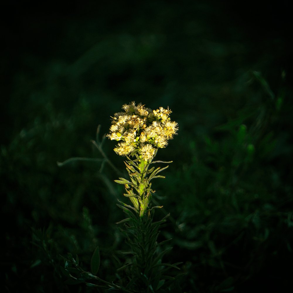 Photograph by Виталий Павлов