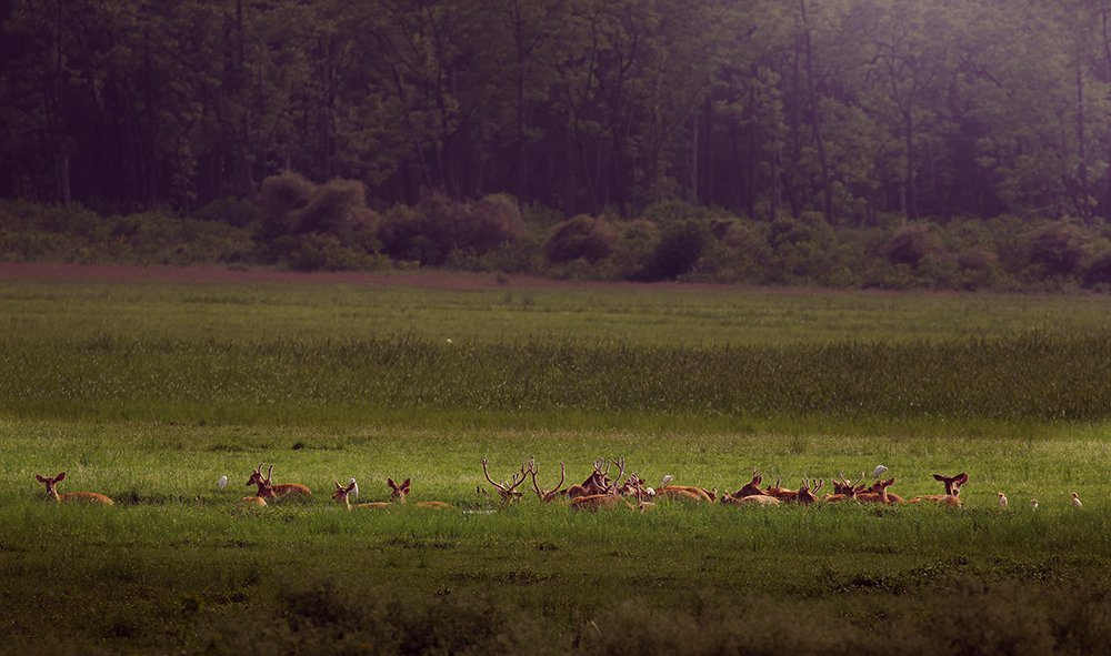 Photograph by ANKUSH CHOWDHURY