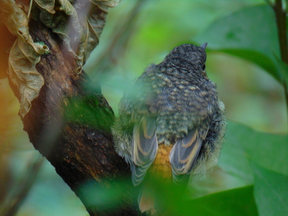 Photograph by Ольга Шевцова