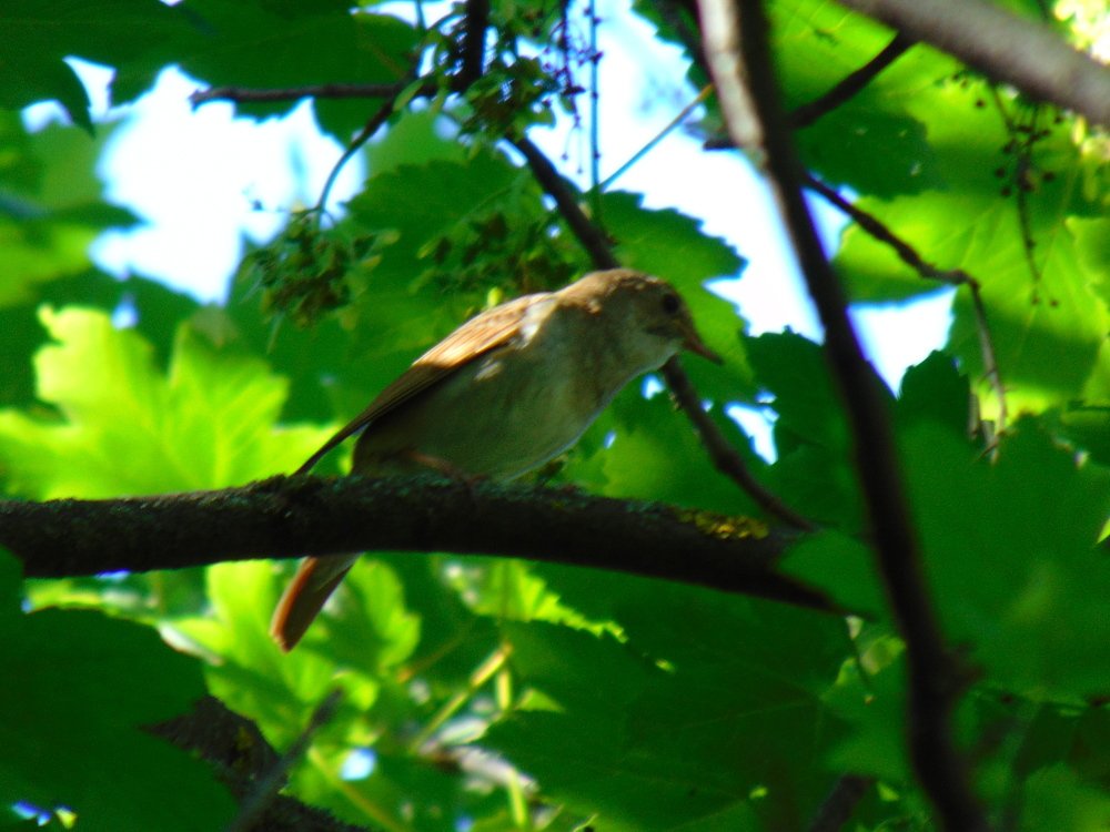 Photograph by Ольга Шевцова